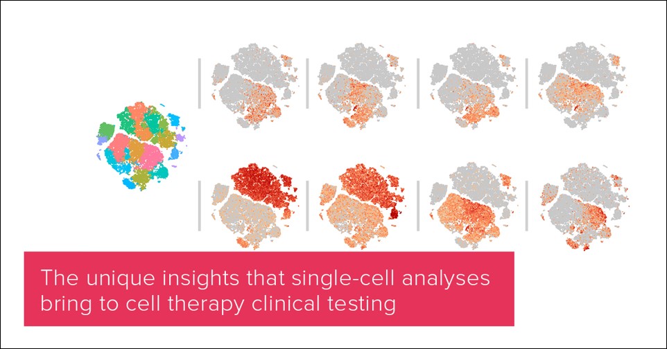 Single Cell Seq Final Border