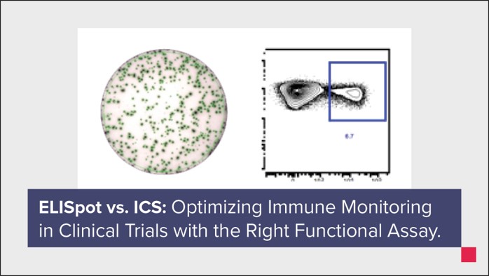 Infographic: ELISpot vs. ICS — optimizing immune monitoring in clinical trials with the right functional assay.