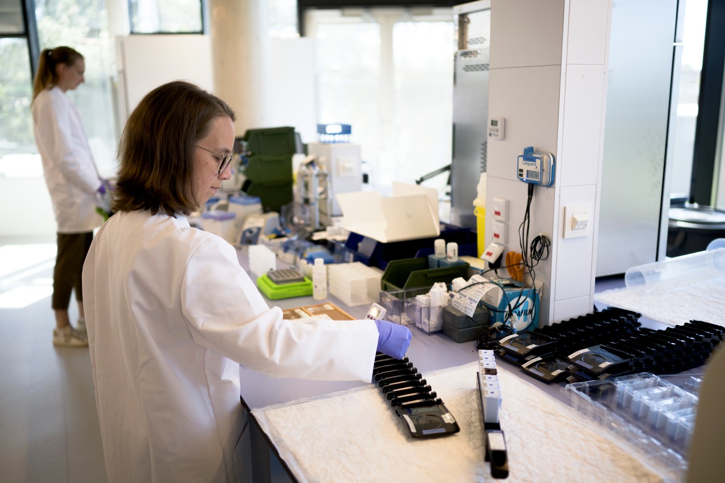 Antibody-Drug Conjugate research scientist performing precision biomarker assays for target engagement and TME profiling
