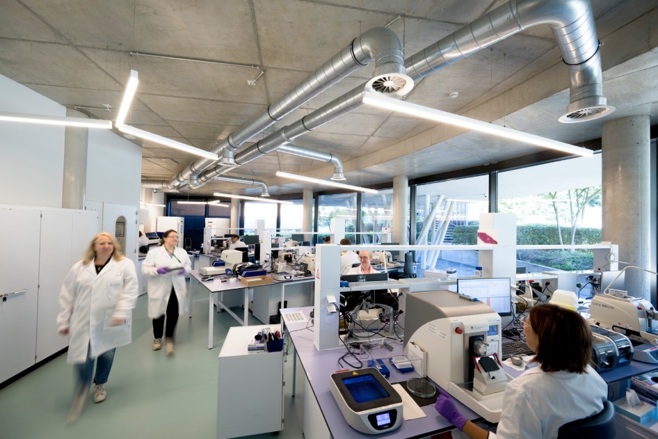 Scientists working in an open laboratory.
