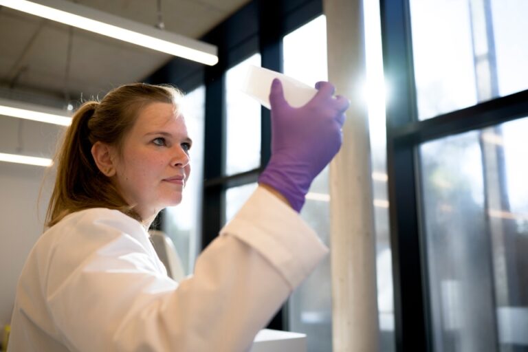 Scientist examining a stained tissue slide against the light in the laboratory.