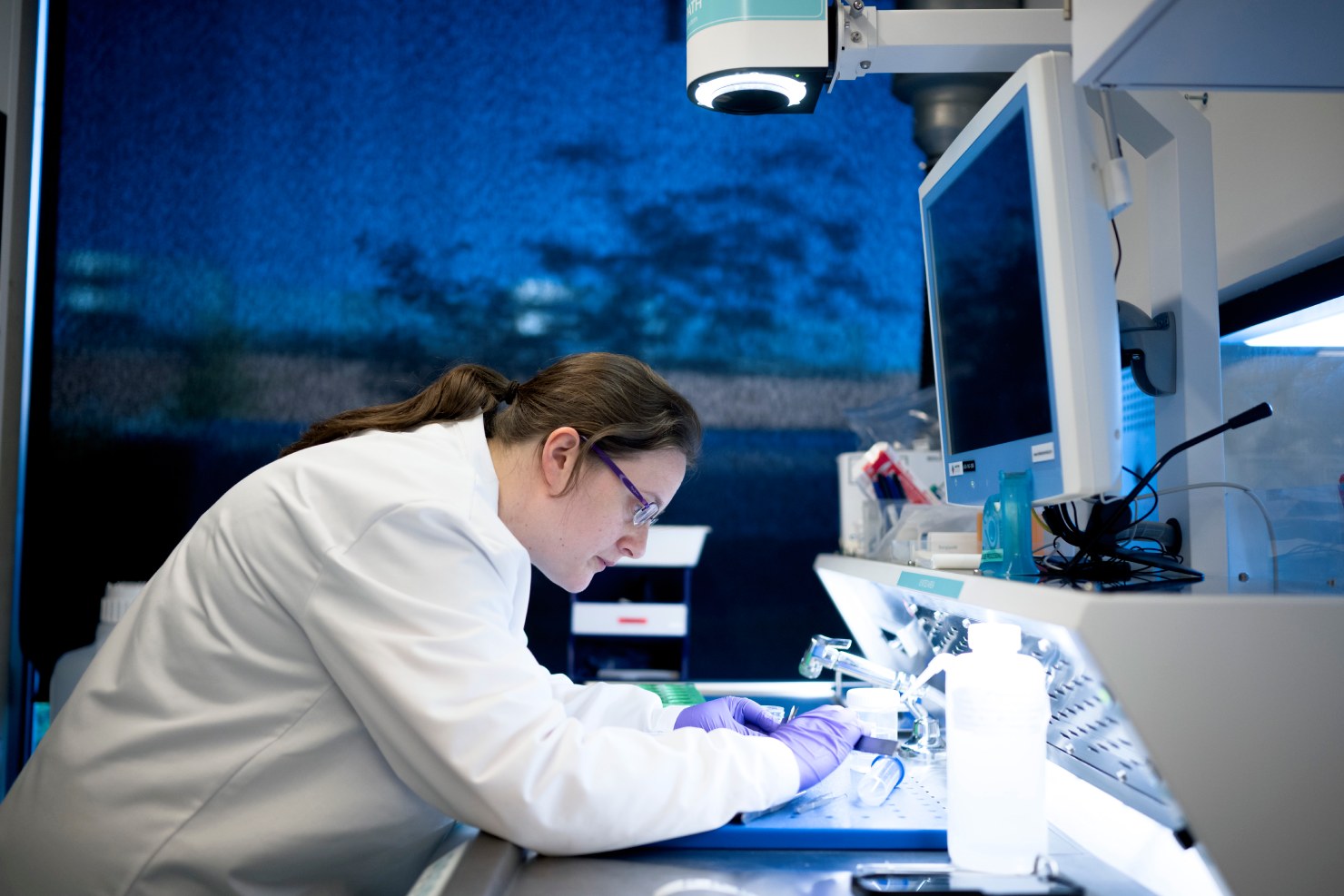 Scientist performing in situ hybridization for precise localization and quantification of DNA, mRNA, and microRNA