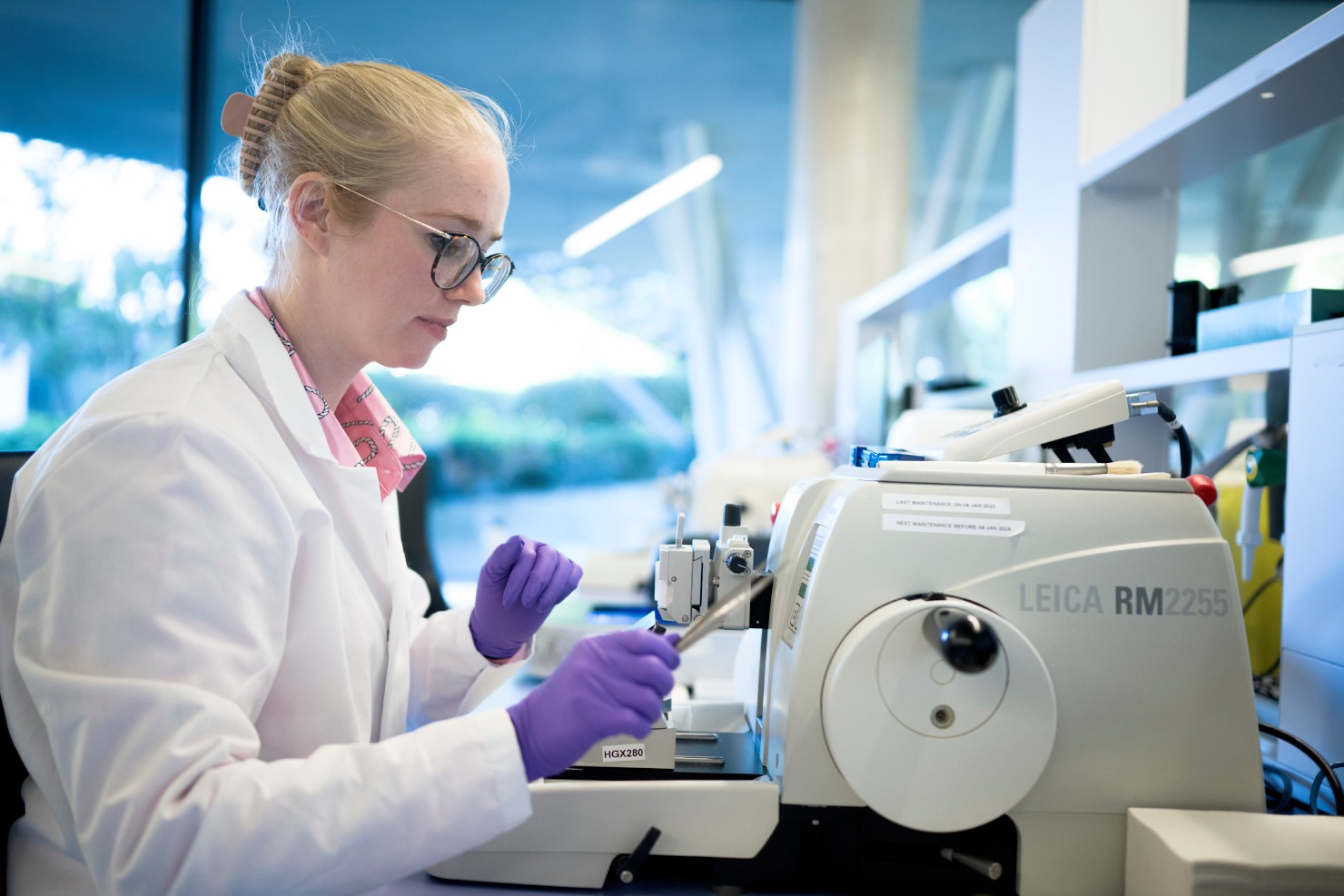 Scientist performing immunofluorescence and IHC tissue staining for antigen abundance and localization analysis
