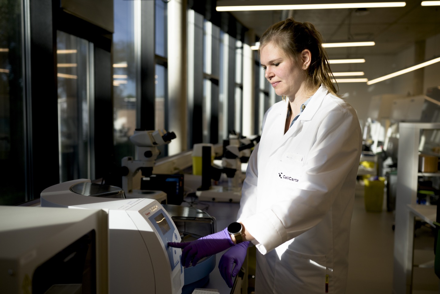 CellCarta scientist preparing validated IHC biomarker assay panel for multiplex immunofluorescence staining workflow