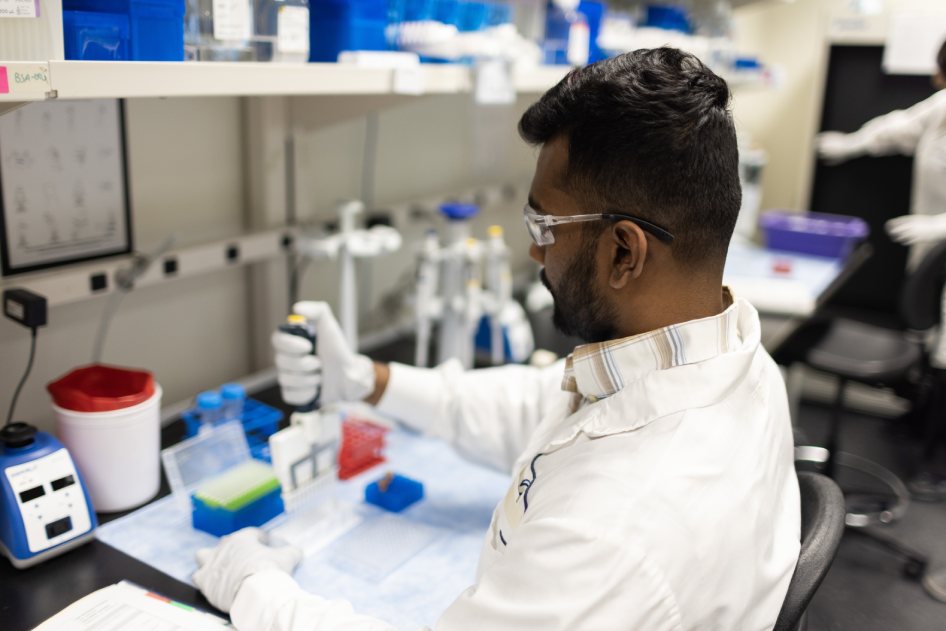 MDSC Assays 16