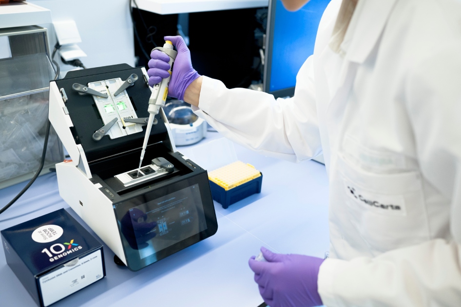 Quantitative PCR QPCR 254