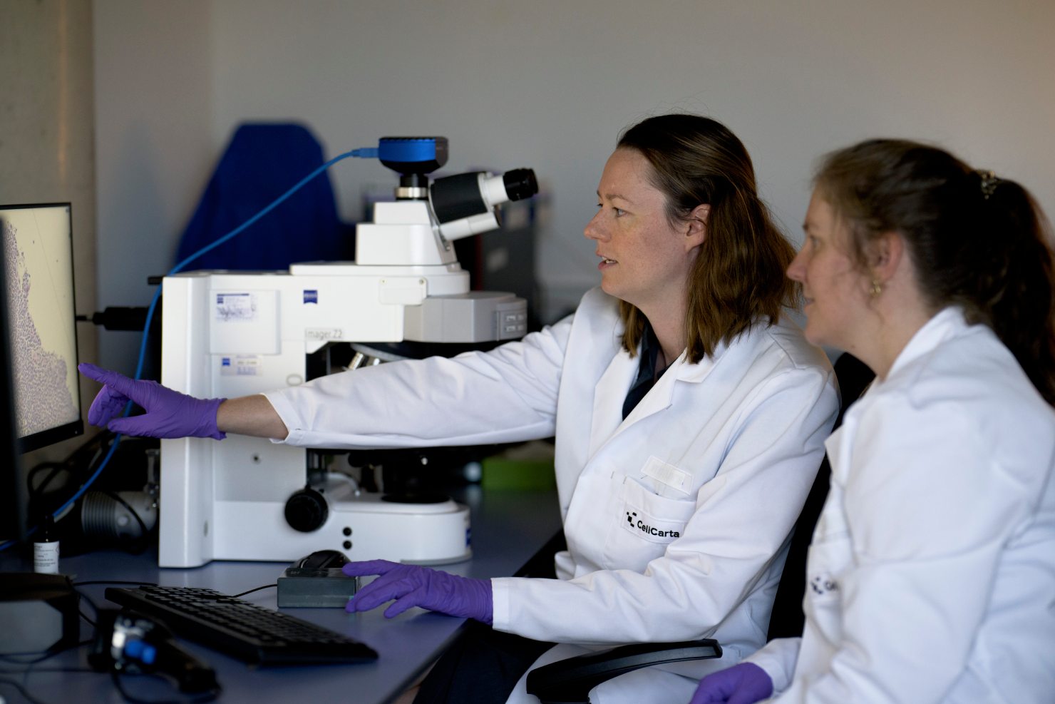 Regulatory services at CellCarta