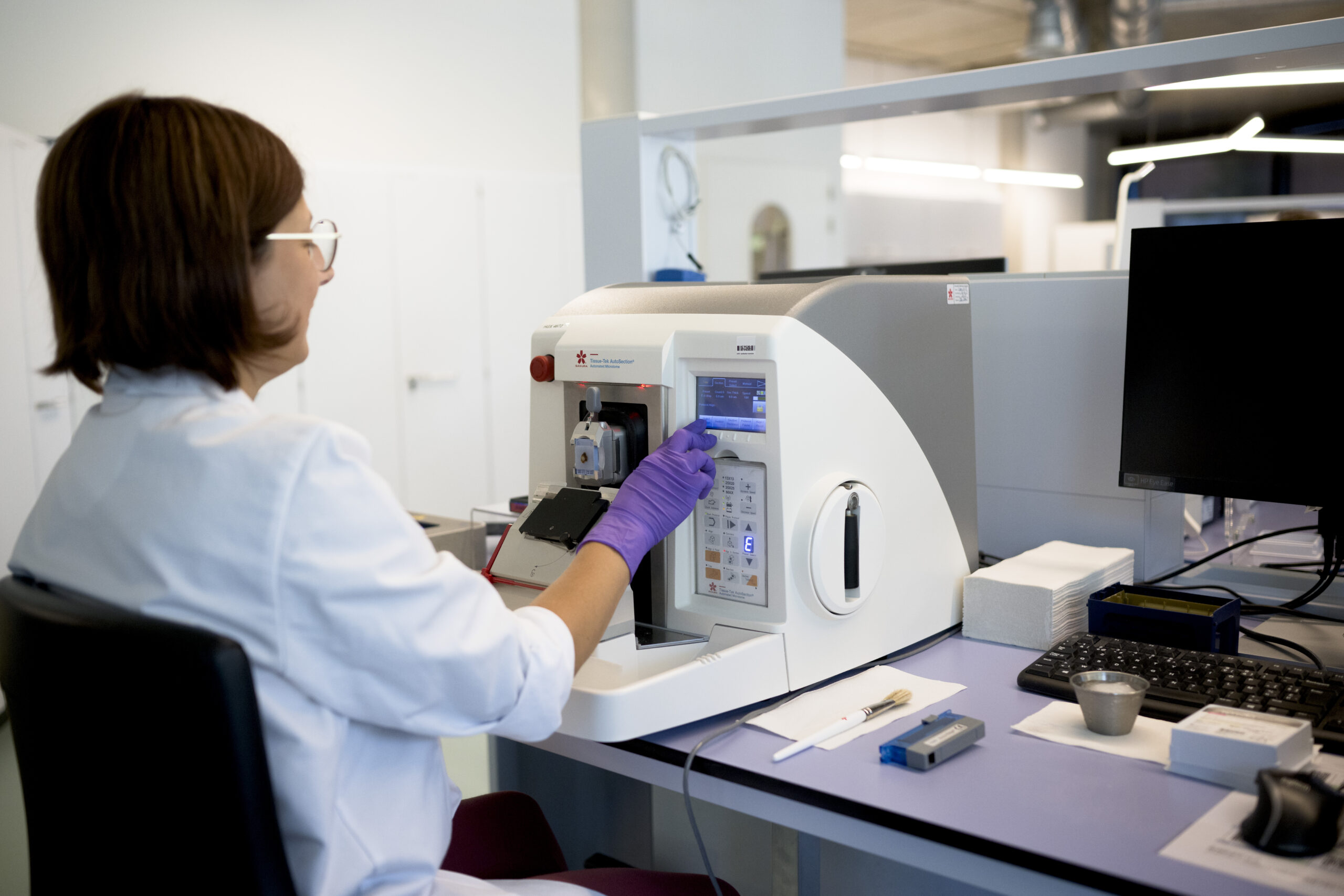 IHC-IF services at CellCarta