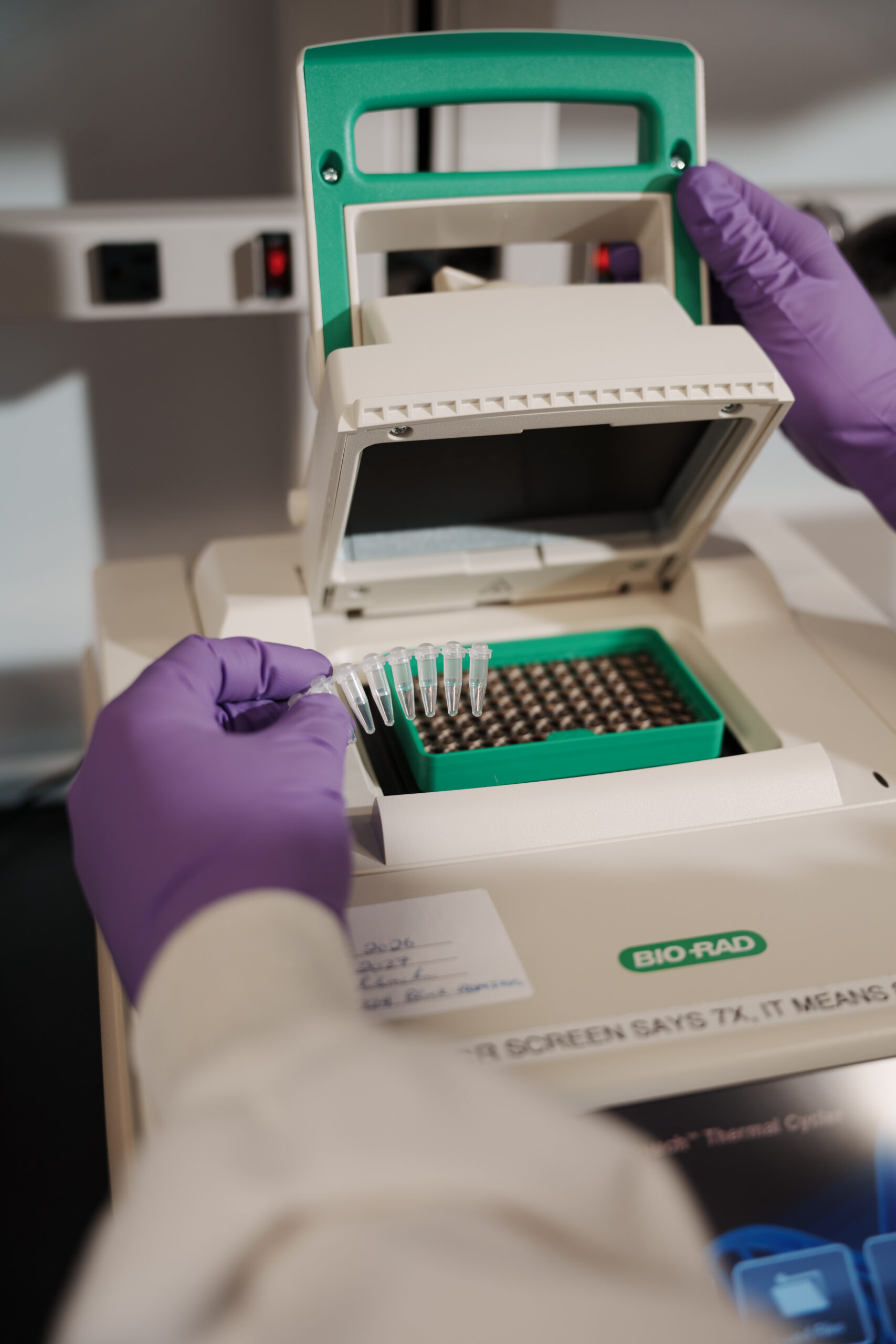 Gloved hands loading qPCR samples into a benchtop instrument.