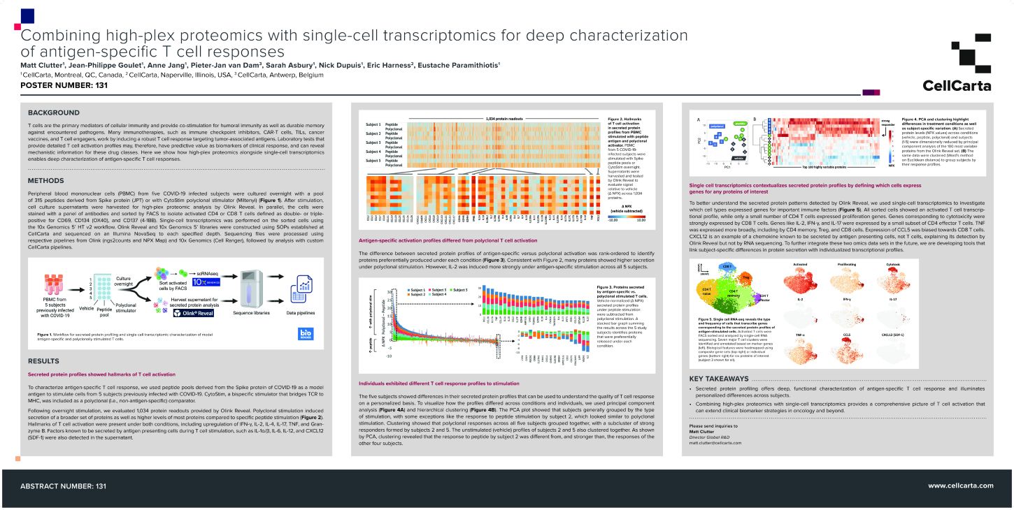 T cell response characterization combining RNA sequencing with Olink Reveal proteomics