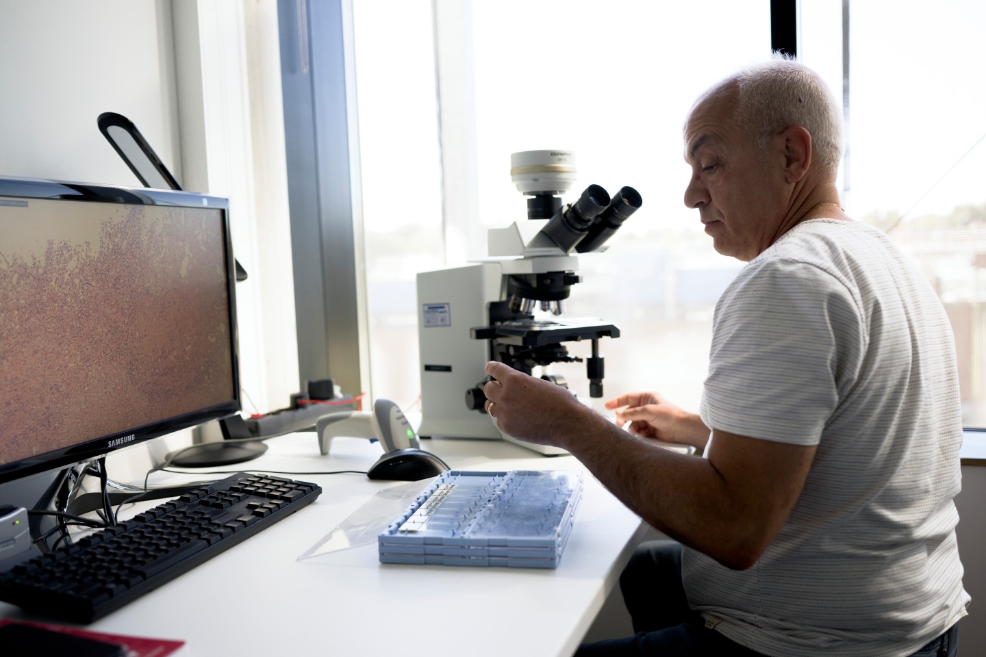 CellCarta digital pathology team