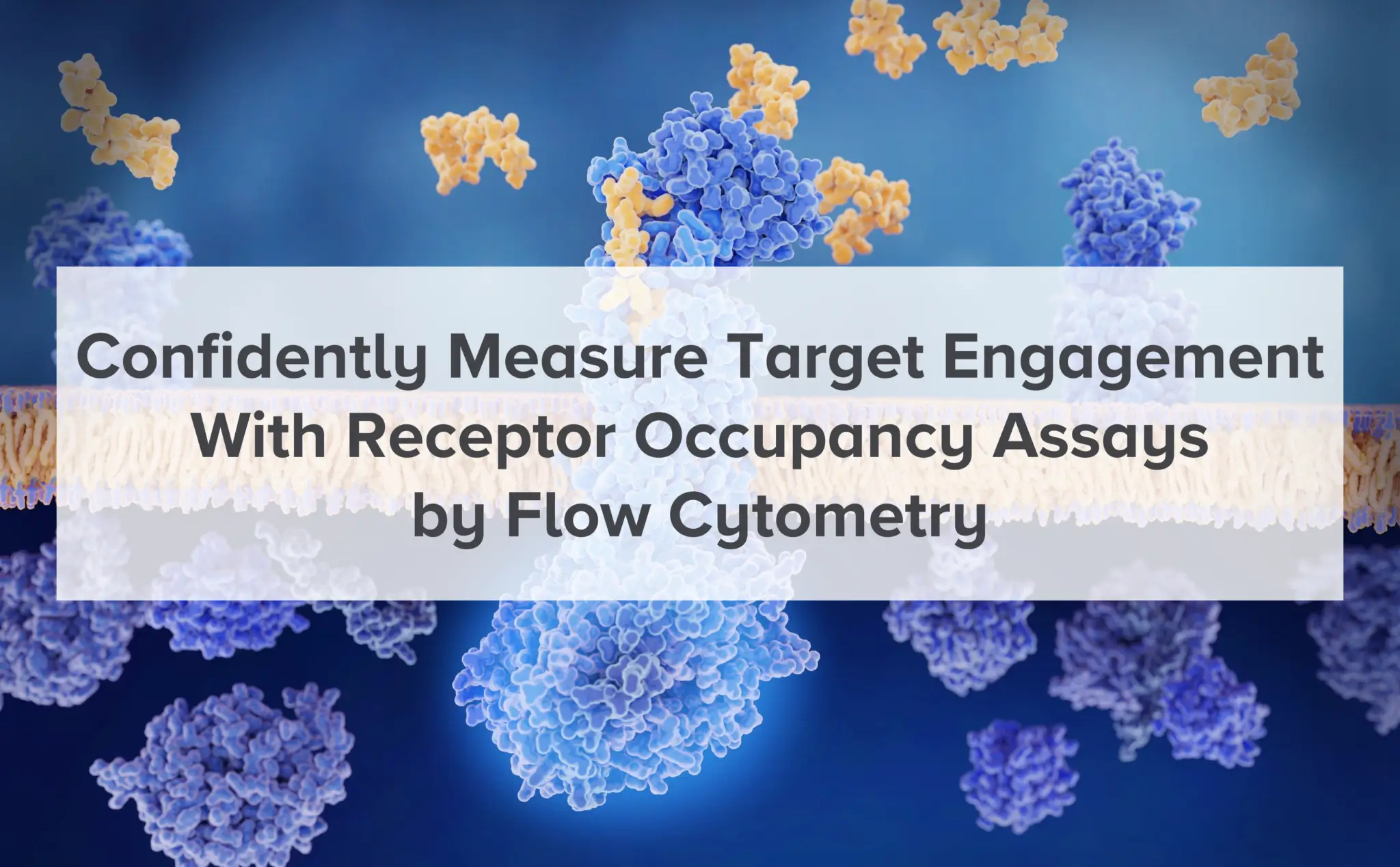 Receptor Occupancy Assays by Flow Cytometry