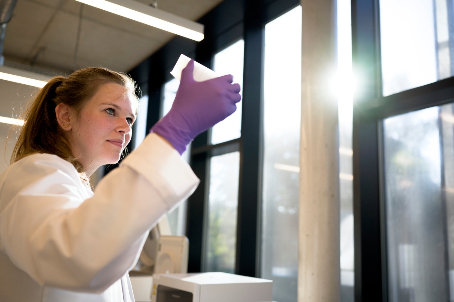 Scientist inspecting a sample plate in the laboratory.