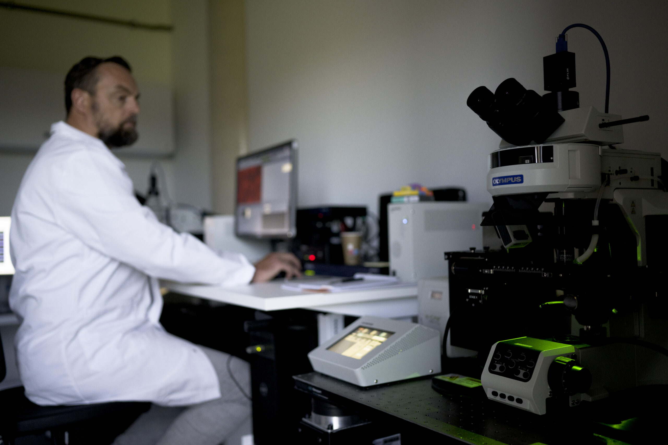 Digital pathology scientist analysing whole slide images